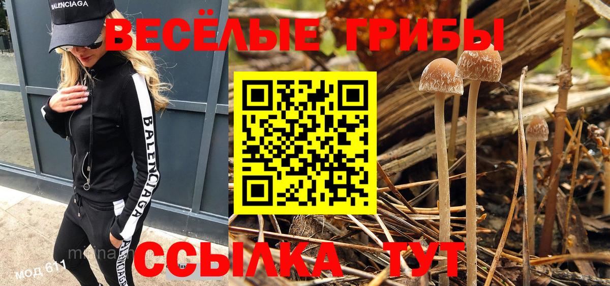 Ижевск  Псилоцибиновые грибы Psilocybine cubensis  Вход с VPN 