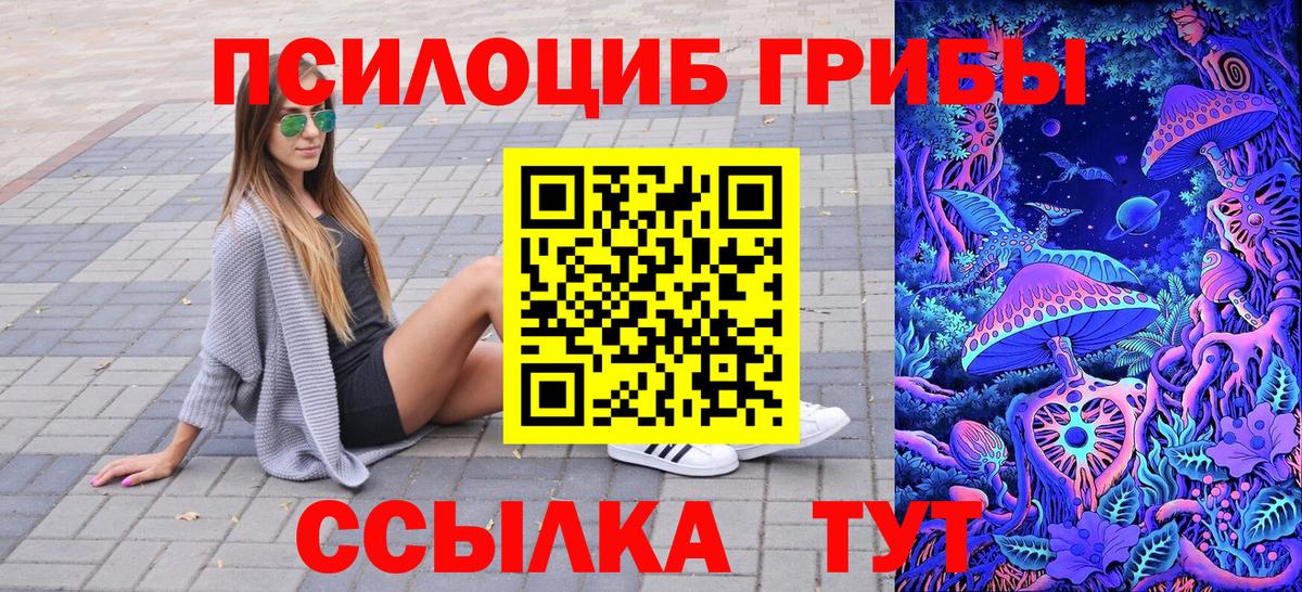 Галлюциногенные грибы Psilocybine cubensis Ижевск